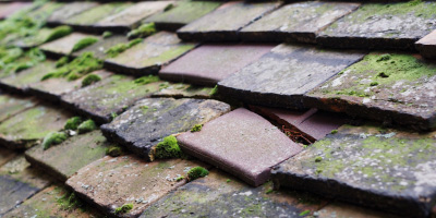 Star roof repair costs